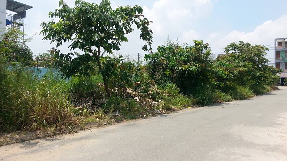đất tại đường Nguyễn Hữu Cầu 