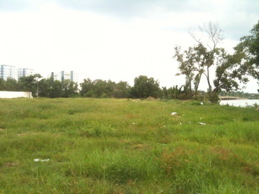 Đất tại đường Nguyễn Hữu Cầu