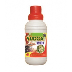 YUCCA V09 