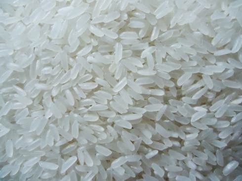 Gạo thơm xuất khẩu